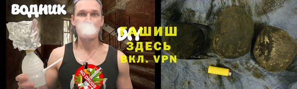 сатива Козловка