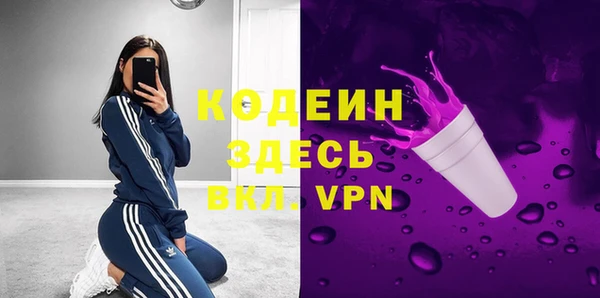 сатива Козловка