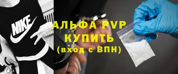 сатива Козловка