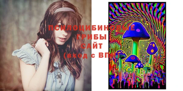 jwh Козельск