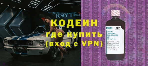 сатива Козловка