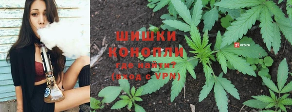 сатива Козловка