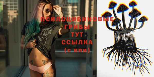 jwh Козельск